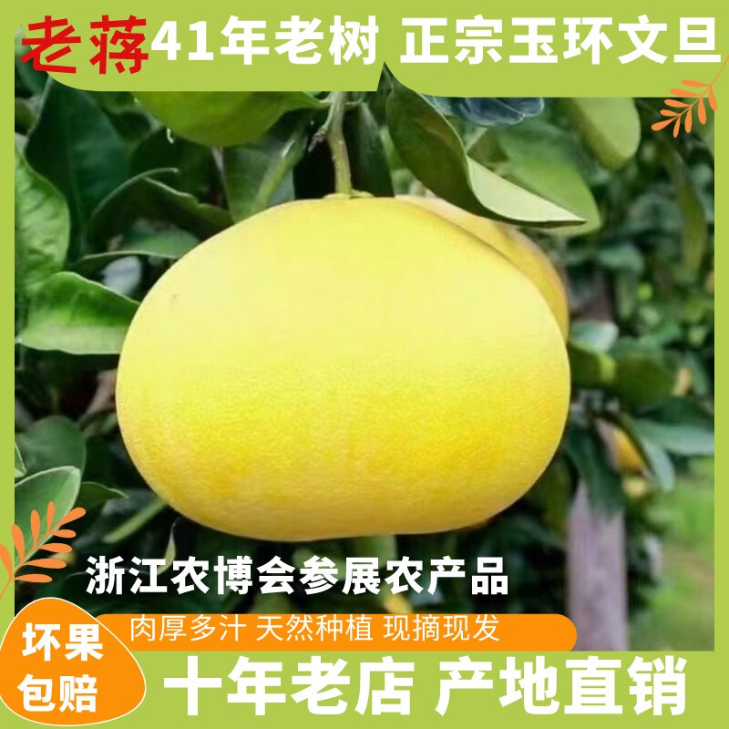 老蒋玉环文旦园的LOGO