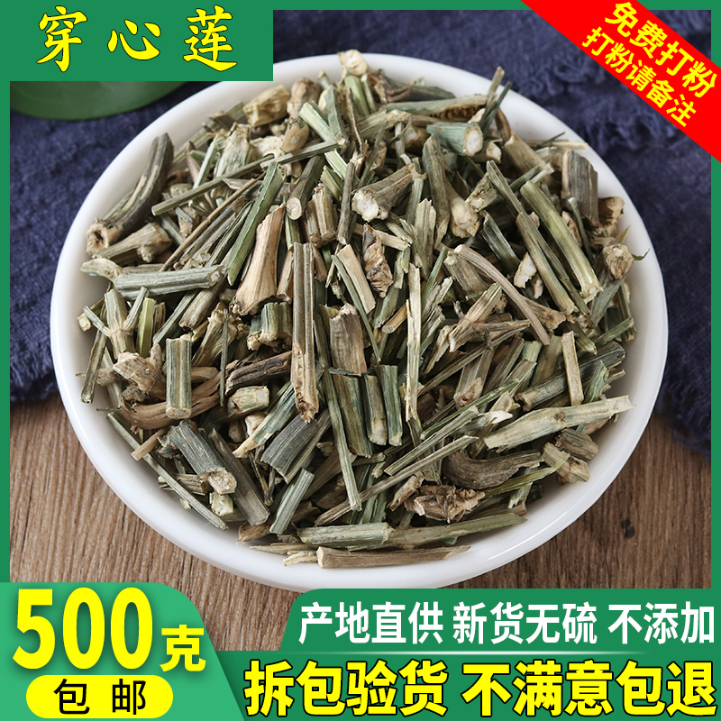 Andrographis paniculata Bitter gall grass Sifanglian 500g Chinese herbal medicine store