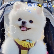 South Korea Itsdog Pet Small Bee Chest Strap Cute Walking Dog Traction Small Dog Dog Traction Rope Itspet