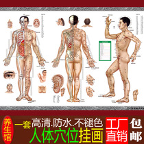 Chinese medicine health care moxibustion hole map human Meridian acupoint map large wall map diagram full body home massage genuine