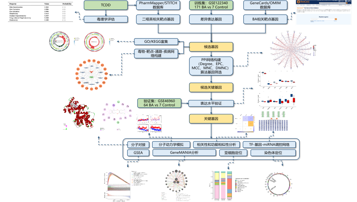 为什么停业整顿后想恢复提供服务?恢复提供服务英语的流程是什么?