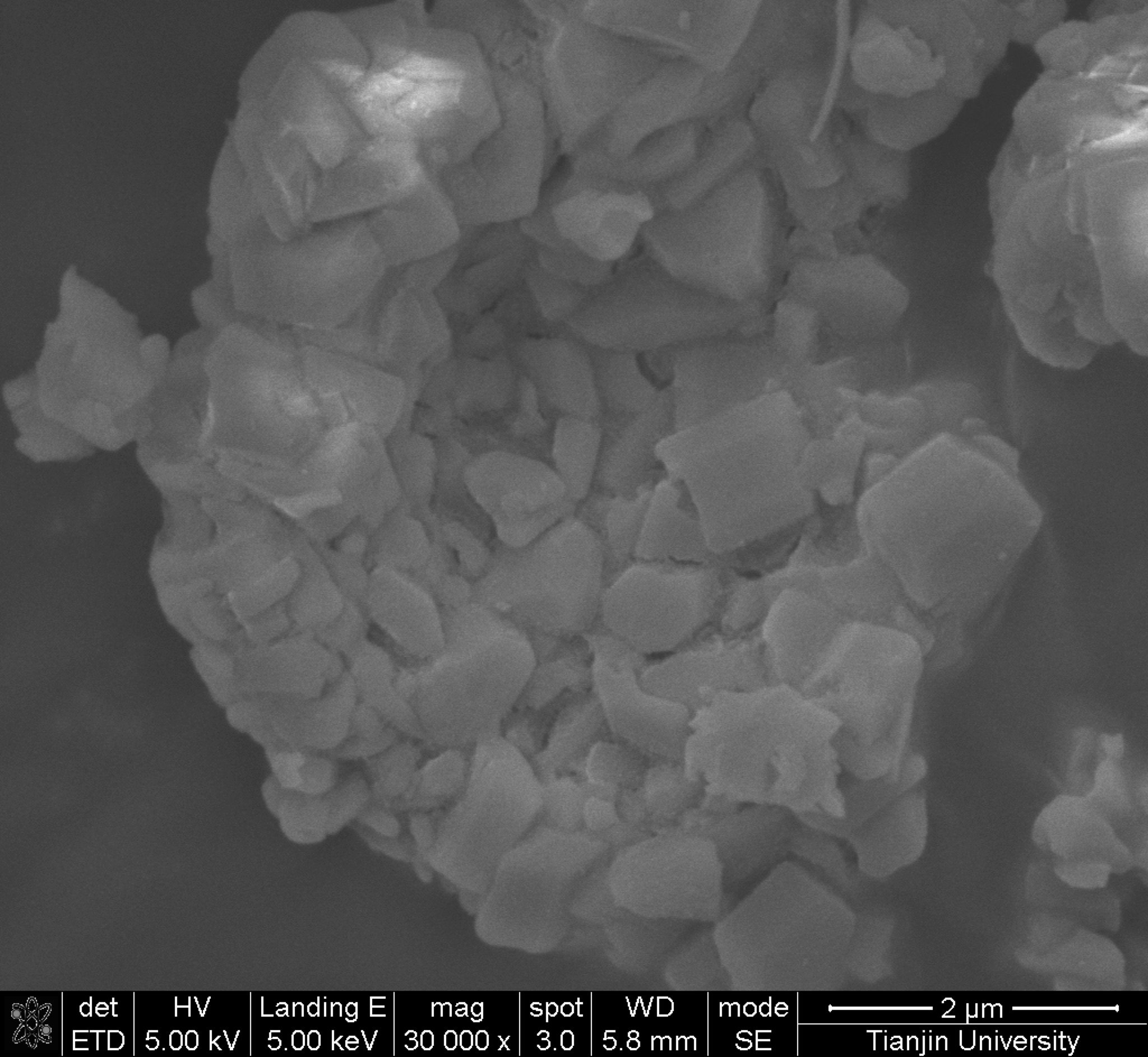 丝光沸石  粉末