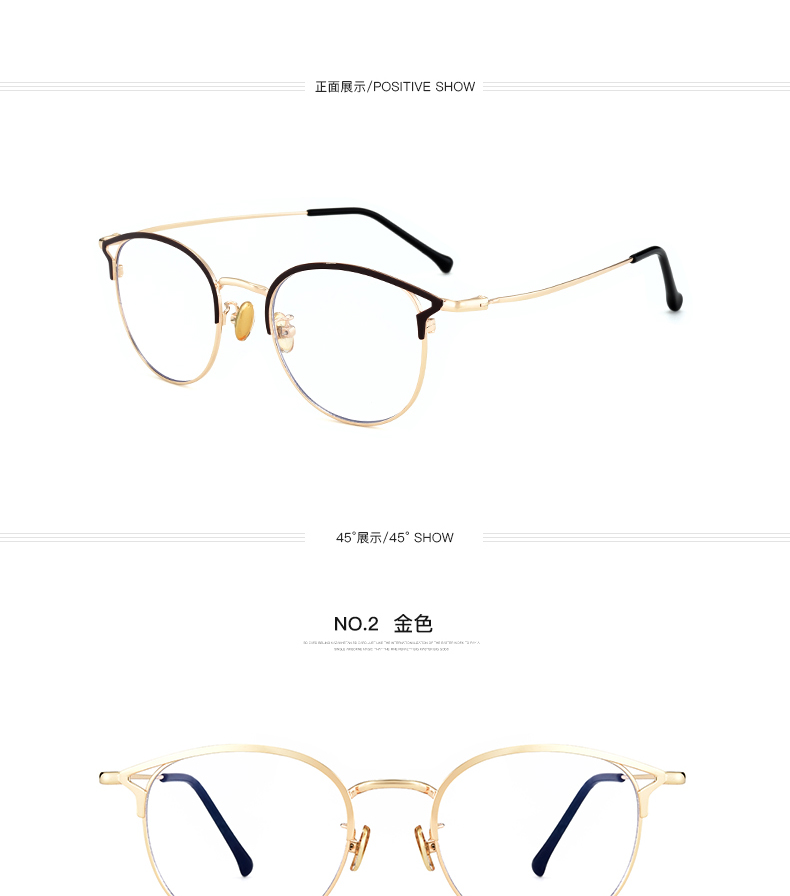 Montures de lunettes EDEN     en Alliage de nickel - Ref 3141677 Image 20