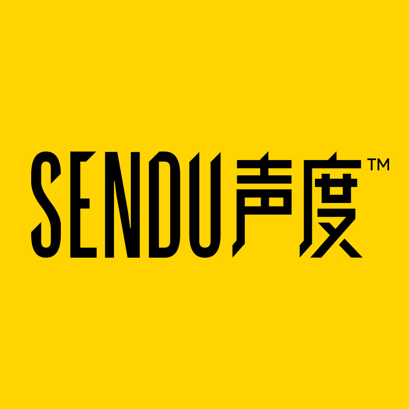 仰观吸顶音响企业店