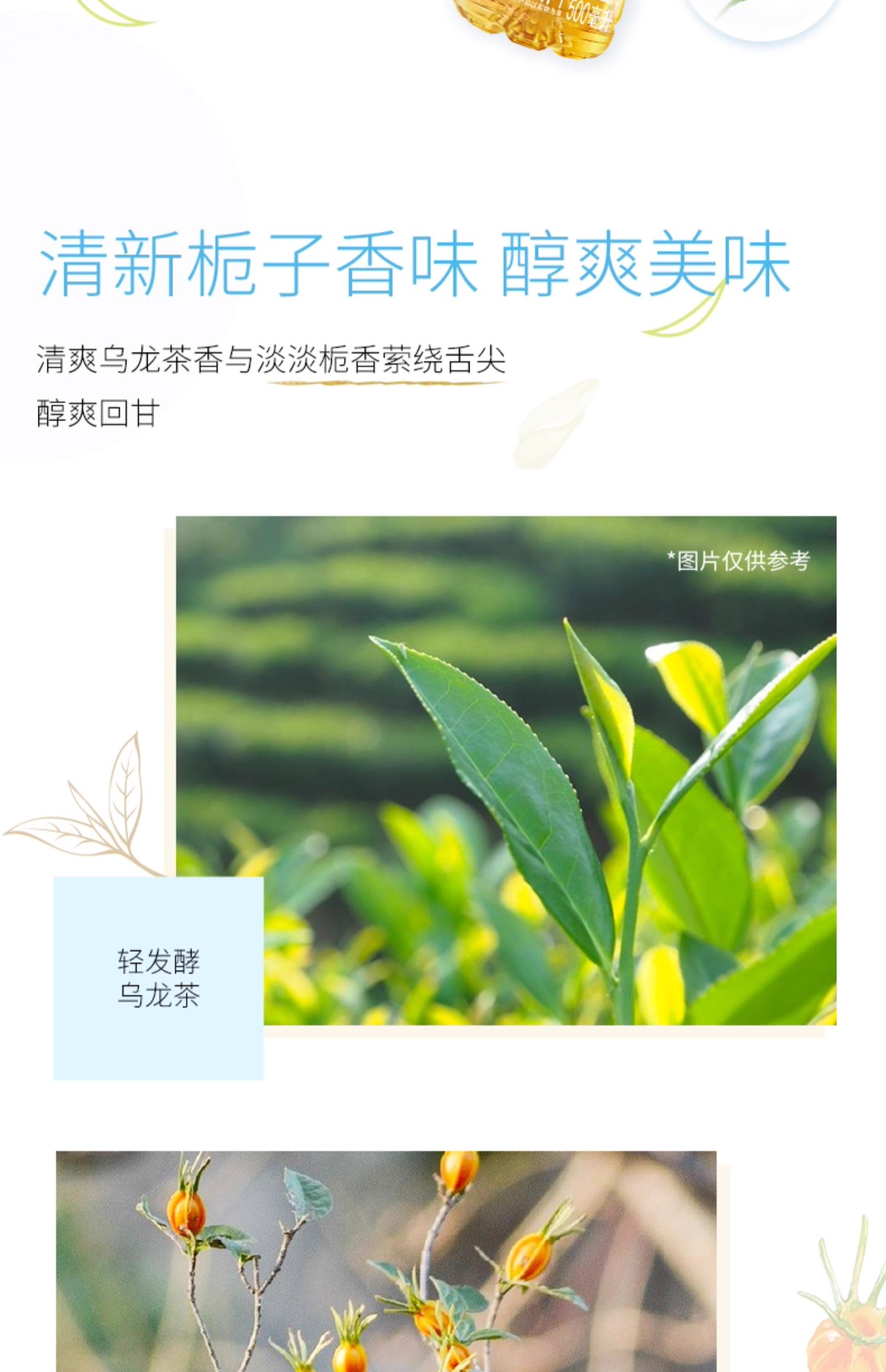 安享好物 安享A级茶饮料-三得利栀意乌龙 国标