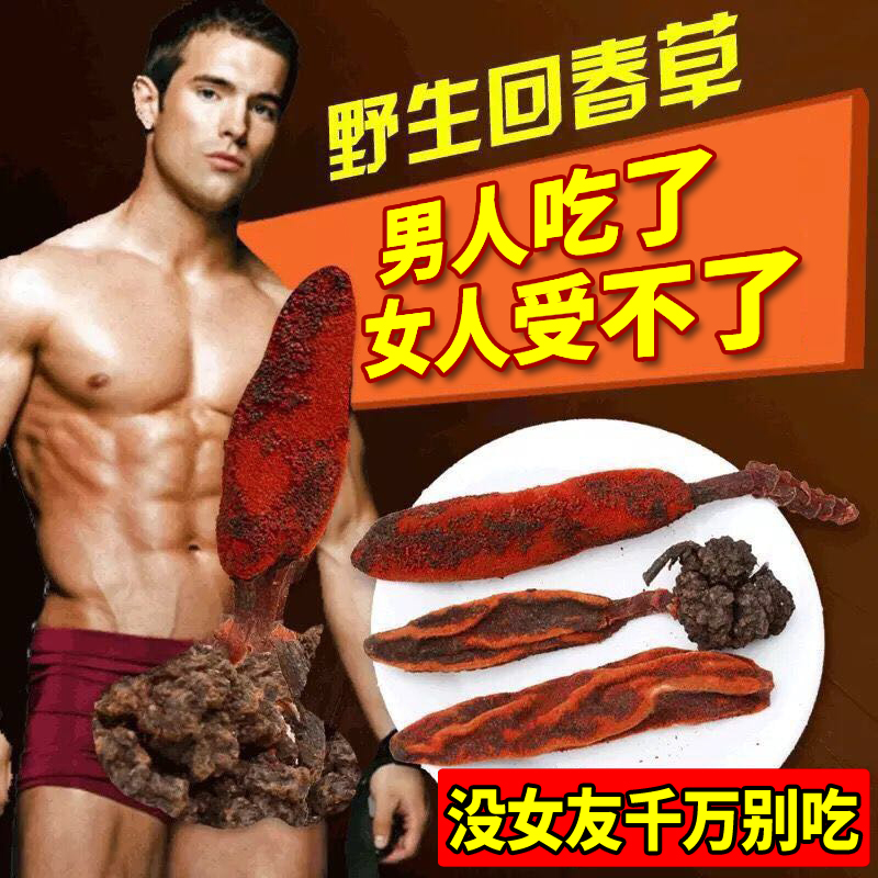 Rejuvenating grass wild evergreen grass Yunnan 500 grams of Top Tianzhu male tonic bubble water bubble wine formula new stock soup