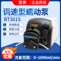 Baoding Refer pump BT 301S speed - regulating pump constant current pump pump laboratory measurement pump multipump head