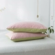 Doudan Matcha Tea