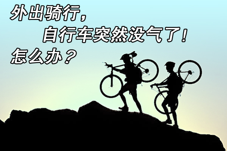 Pompe à vélo - Ref 2393278 Image 23