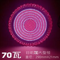 Pork lamp LED fresh lamp according to meat fresh meat lamp stall cooked food marinated meat lamp market supermarket lamp night 2021 new