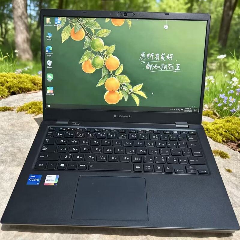 Toshiba/Toshiba 12Th Generation G83 11Th Generation I5 Quad-Core Ultra-Thin Portable Office Business Laptop I7