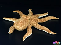 Восемь -натягивать рыбу [подлинные безупречные недостатки]