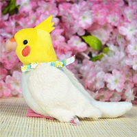 Сюанфенг попугай