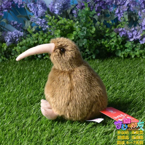 Новая Зеландия странная птица Киви