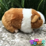 Pigg Plush Toy Dutch Litg