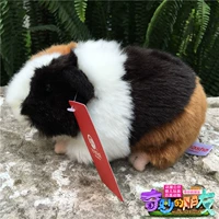 Черно -белый коричневый три цвета