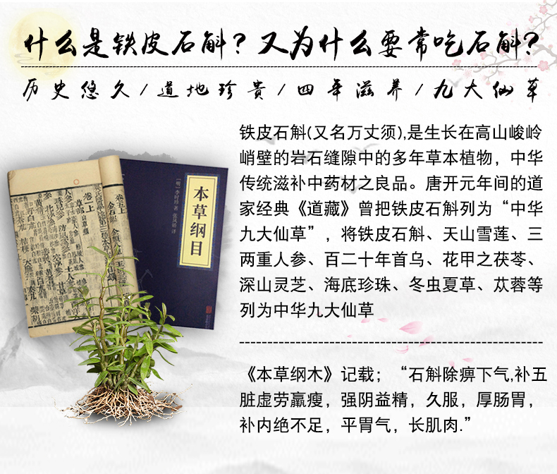 每日农经采访品牌 道地养生 石斛枫斗 10克  滋阴补肾抗疲劳 图1