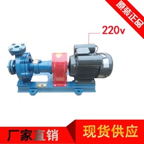 High temperature hot oil pump RY20-20-125 high temperature resistant oil pump heat transfer oil circulation special pump