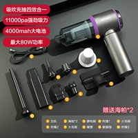 [Модель безмолкового типа пистолета.