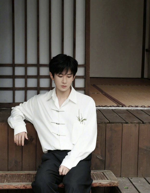 Lotus Tower Cheng Yi Style Shirt Chinese Style New Chinese Embroidery with Bamboo Leaves and Metal Airplane Buckle Loose Shirt