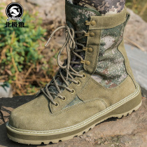 Arctic Wolf autumn Breathable High-end military fan boots male Special Forces combat boots tactical land combat mountaineering desert training boots