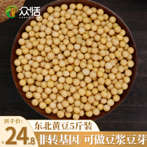 Zhongtian rhubarb beans and soy milk Farmers grow their own non-GMO small yellow beans Northeast 5 kg of raw bean sprouts special beans