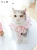 Kitty quần áo con rối đẹp ngắn sữa mèo cưng mùa hè phần mỏng dễ thương mèo con trang phục mùa hè chống tóc váy - Quần áo & phụ kiện thú cưng