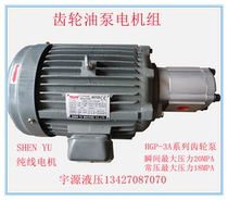 Gear Oil Pump Motor Group 0 75 1 5 2 2 3 7 5 5KW HGP-3A-11 14 17 19 19 23R