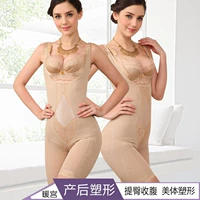 菲洛玛 Cao cấp sau sinh tăng cường áo nịt hông hông eo corset cơ thể định hình corset định hình đồ lót khắc cơ thể - Một mảnh nội y đẹp