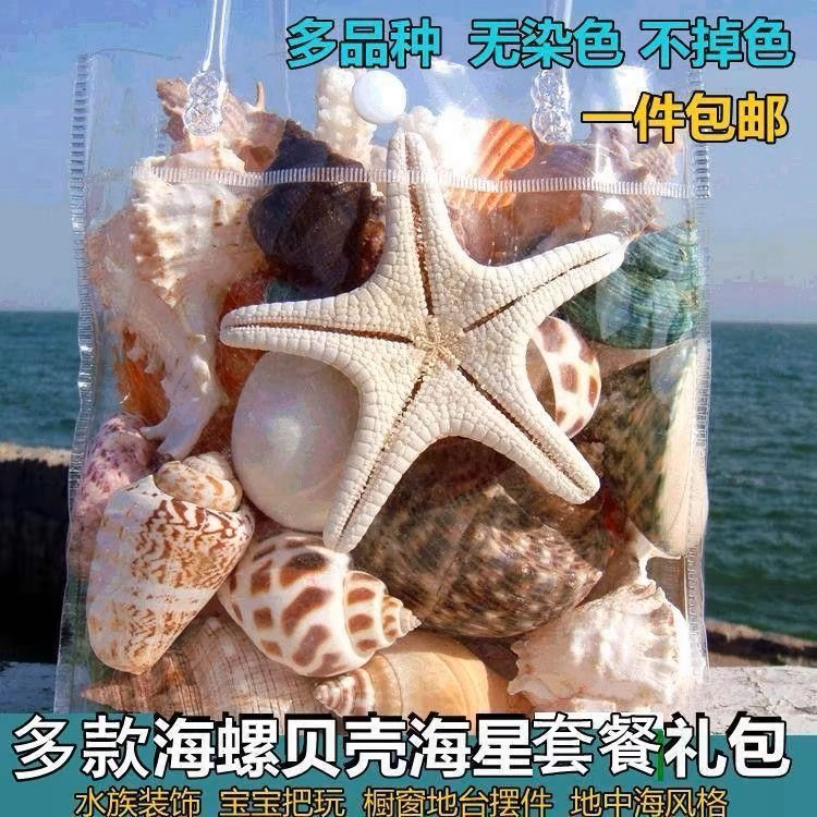 Natural Conch Shells, Starfish, Coral, Fish Tank Landscaping Decoration, Window Display, Floor Stand, Home Decoration, Children's Toys, Gifts