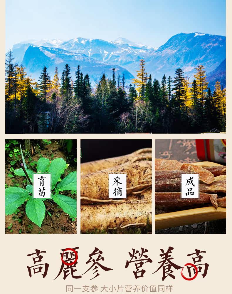 Gaoli ginseng_06.jpg