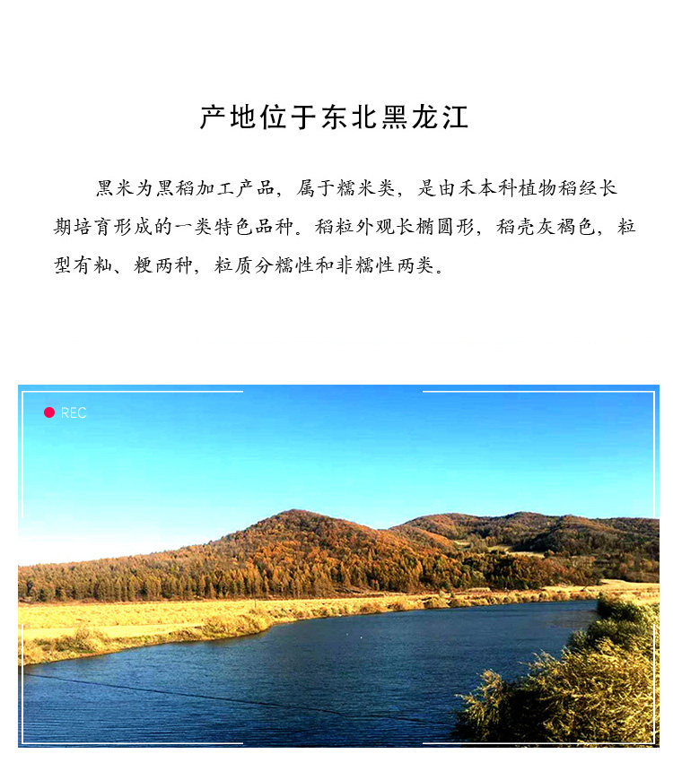 index_03.jpg