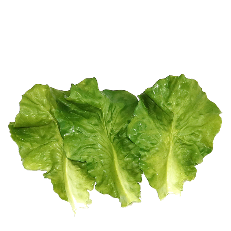 Simulation Raw Vegetable Leaf Vegetable Pvc Material Silicone Waterproof Food Model Props Hotel Holistic Cupboard Casual Farm Decoration