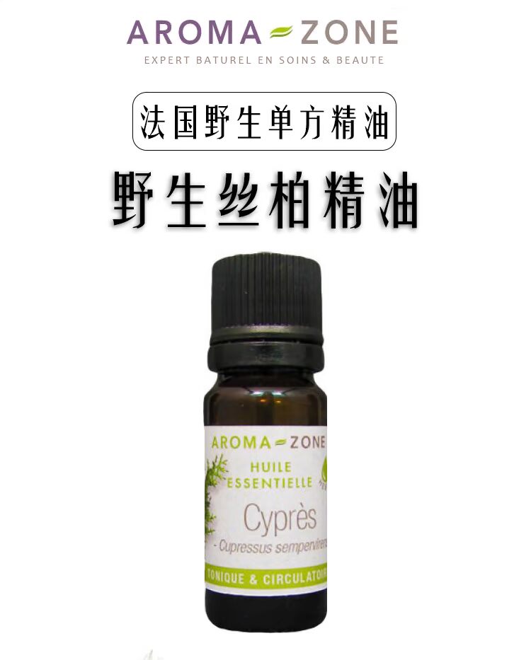 Hương thơm vùng Pháp Cây bách dại Tây Ban Nha đơn phương tinh dầu 10ml cypres - Tinh dầu điều trị tinh dầu bưởi kích thích mọc tóc