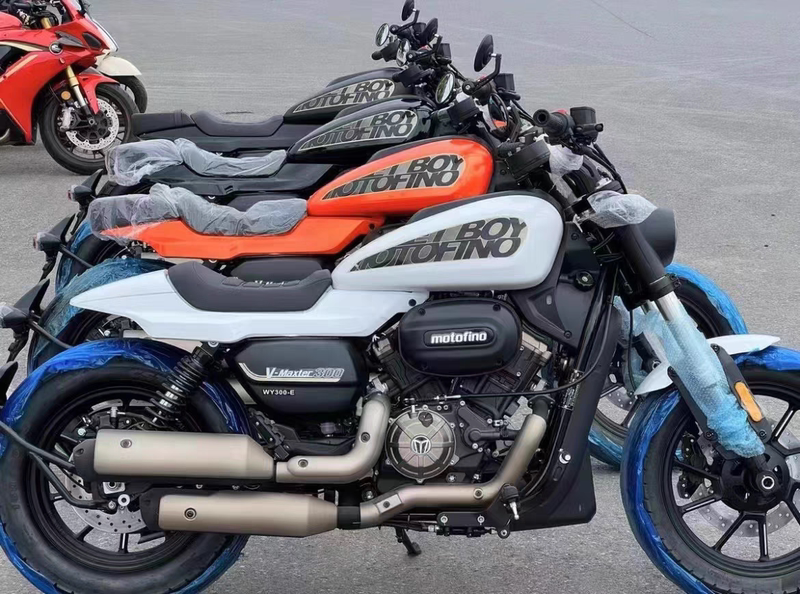 Motofino Little Horse 300 License Plate Holder License Plate Rear Shield. Upgraded Model. Jd.Com,  Express Delivery