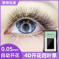 4D four foliage grass for one second flowering grafting eyelash triple D leaf straw yy type upgrade with ferret hair planting false eyelashes