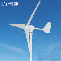 Limited time promotion household wind turbine 500W small horizontal axis wind turbine with controller DC