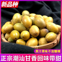  2021 NEW olives]Authentic Chaoshan local specialty soup back to sweet fresh green skin olive green FRUIT 500G