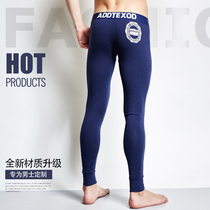 Mens autumn pants cotton fashion sexy low waist tight autumn and winter warm pants cotton pants cotton slim youth leggings