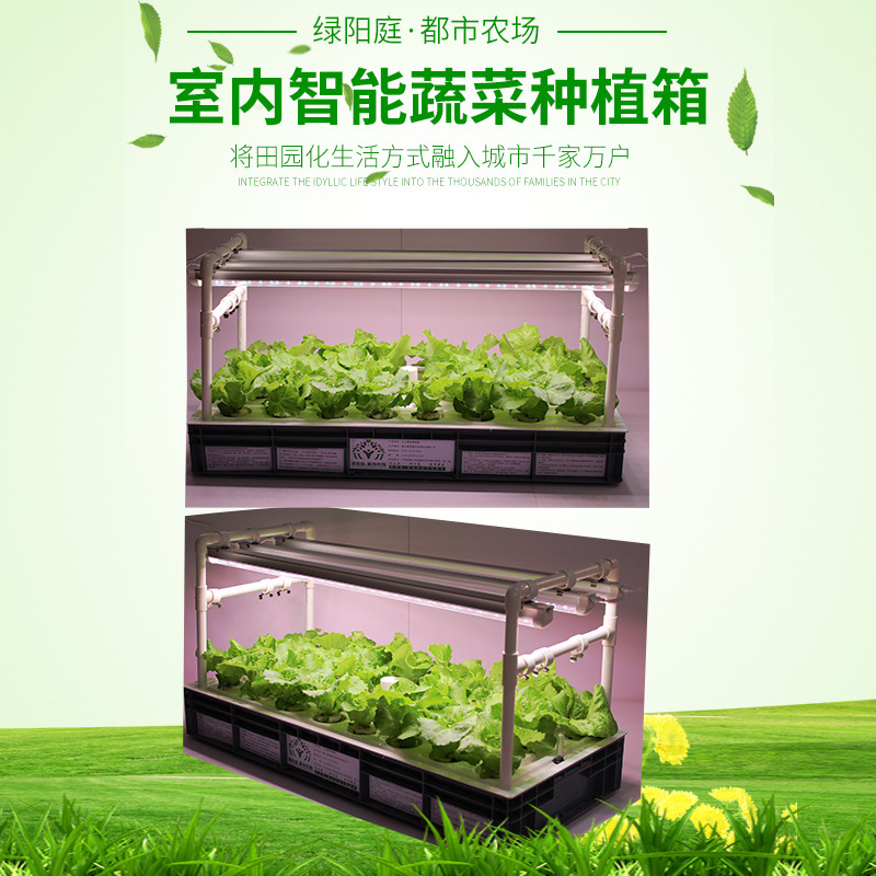 種菜機綠陽庭家庭無土栽培水耕水培設備室內陽臺種菜箱智能