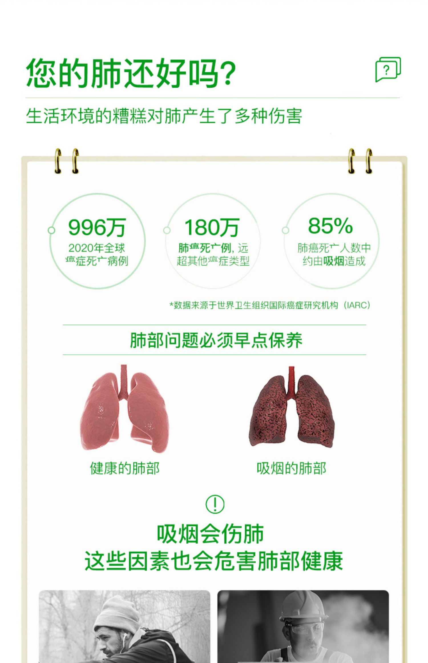 Herbsense绿原酸肺结节素净肺宝