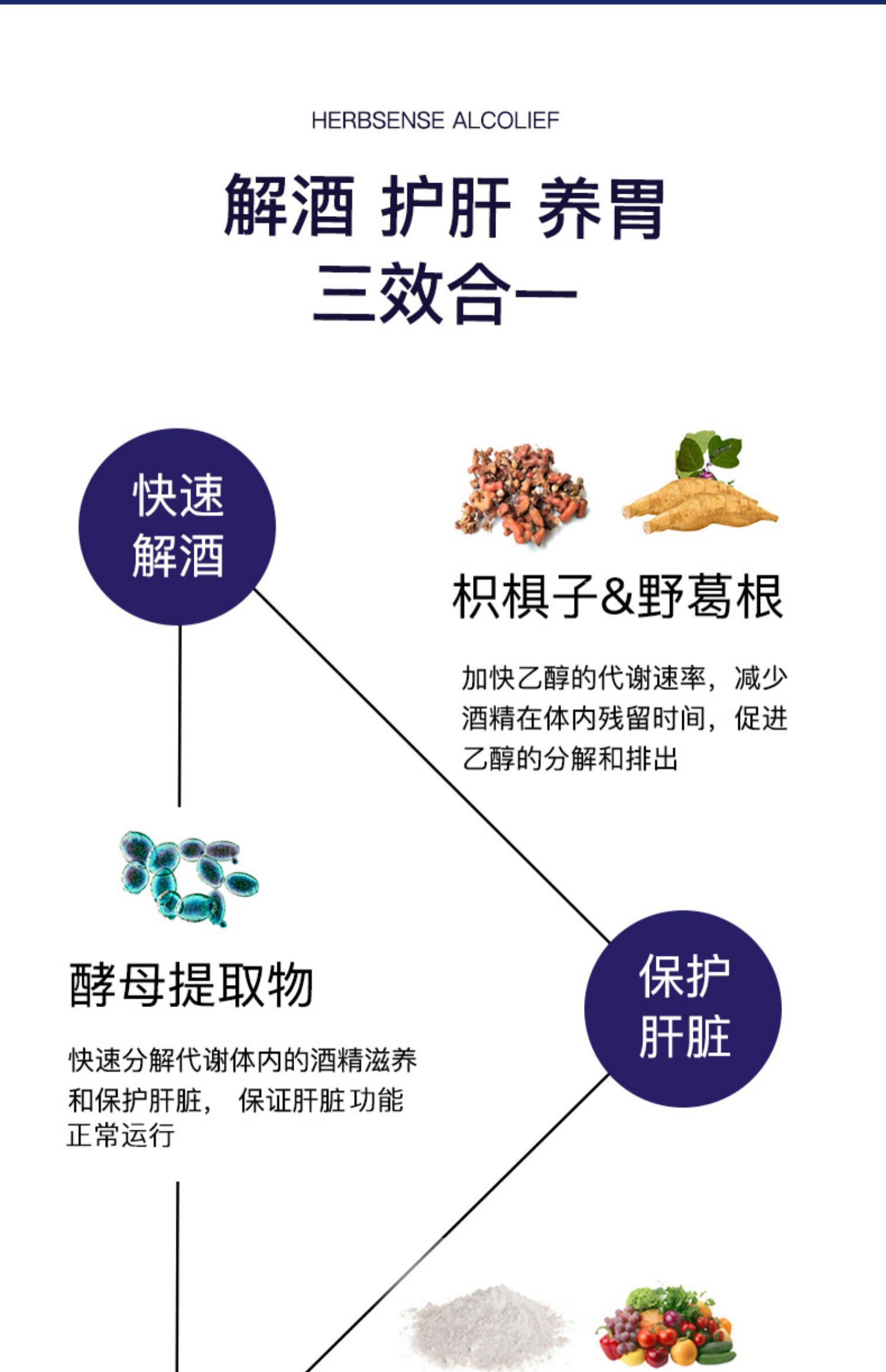 Herbsense贺柏圣解酒养胃片