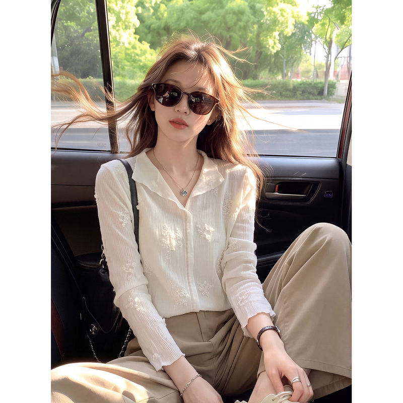 Floral Embroidered Lapel Long-Sleeve T-Shirt for Women, Autumn Korean Style, Light and Sophisticated, Slightly Sheer Lace Design, Casual Top