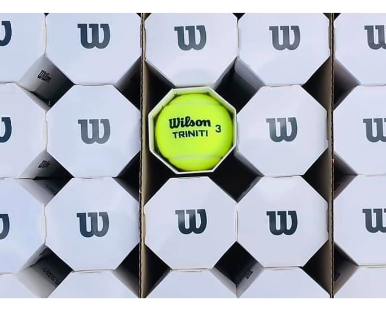 Wilson Wilson Tennis Australian Open US Open US OPEN huấn luyện bóng tennis bền - Quần vợt