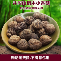 Jinggangshan Shiitake mushroom dried basswood shiitake mushroom farm wild environment small shiitake mushroom Premium Shiitake mushroom money mushroom
