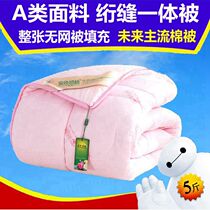 Xinjiang cotton first-class high-quality long-staple cotton cotton cotton wool quilted quilted spring and autumn cotton mattress thickened warm