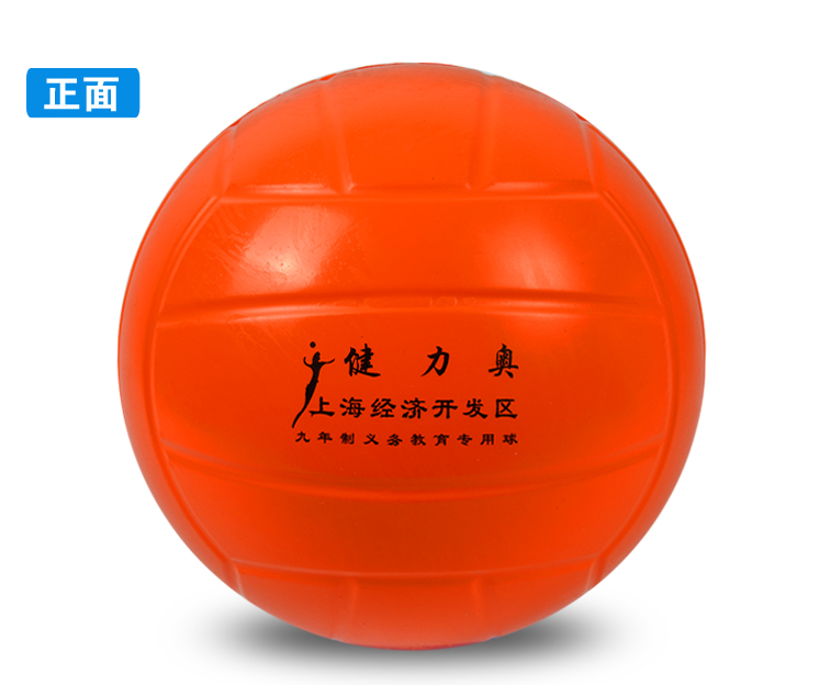 Ballon de volley - Ref 2010010 Image 5