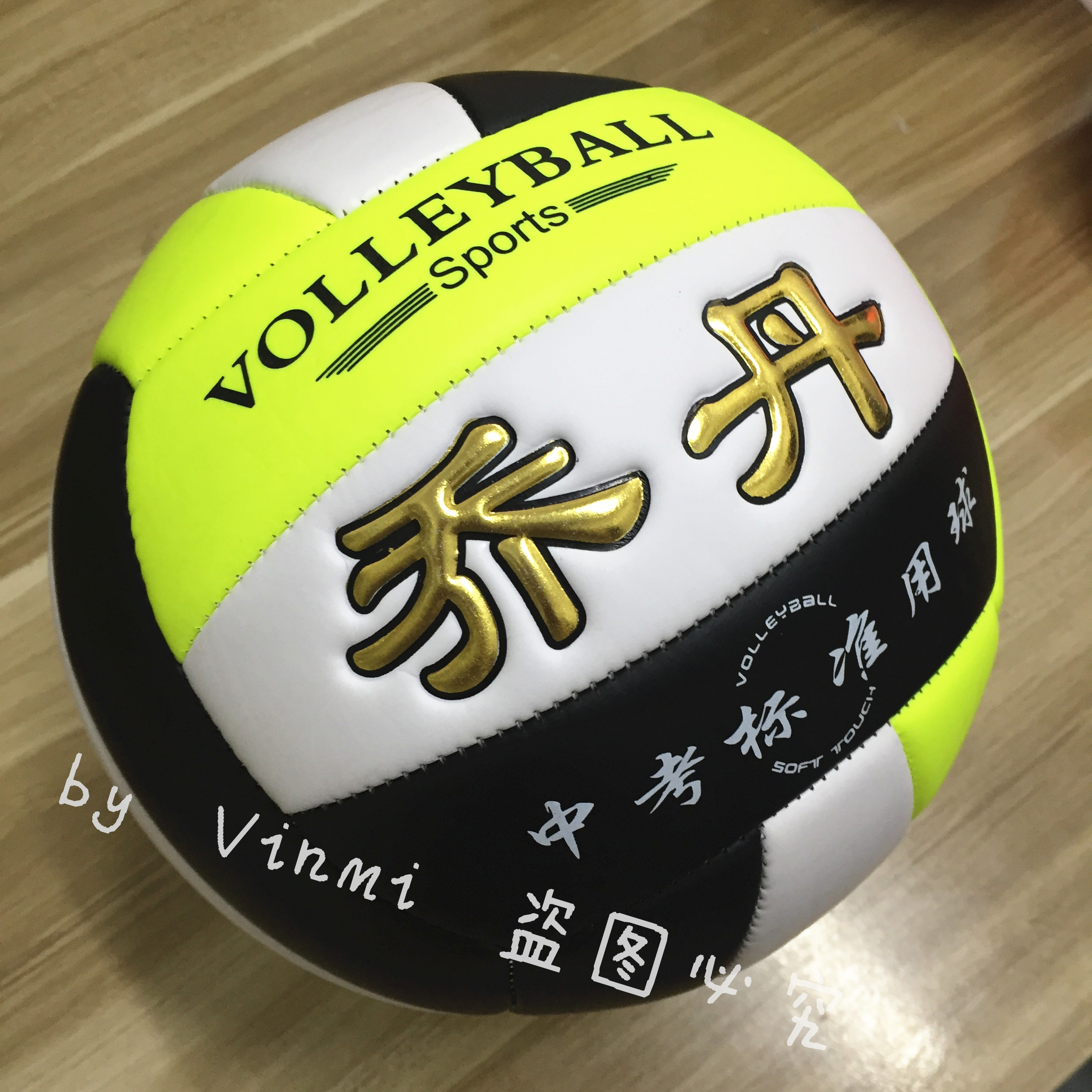 Ballon de volley - Ref 2010573 Image 5