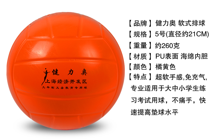 Ballon de volley - Ref 2010010 Image 4