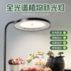 Товары от leesa旗舰店